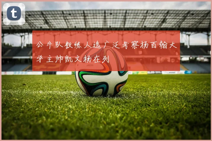 公牛队教练人选广泛考察杨百翰大学主帅凯文杨在列